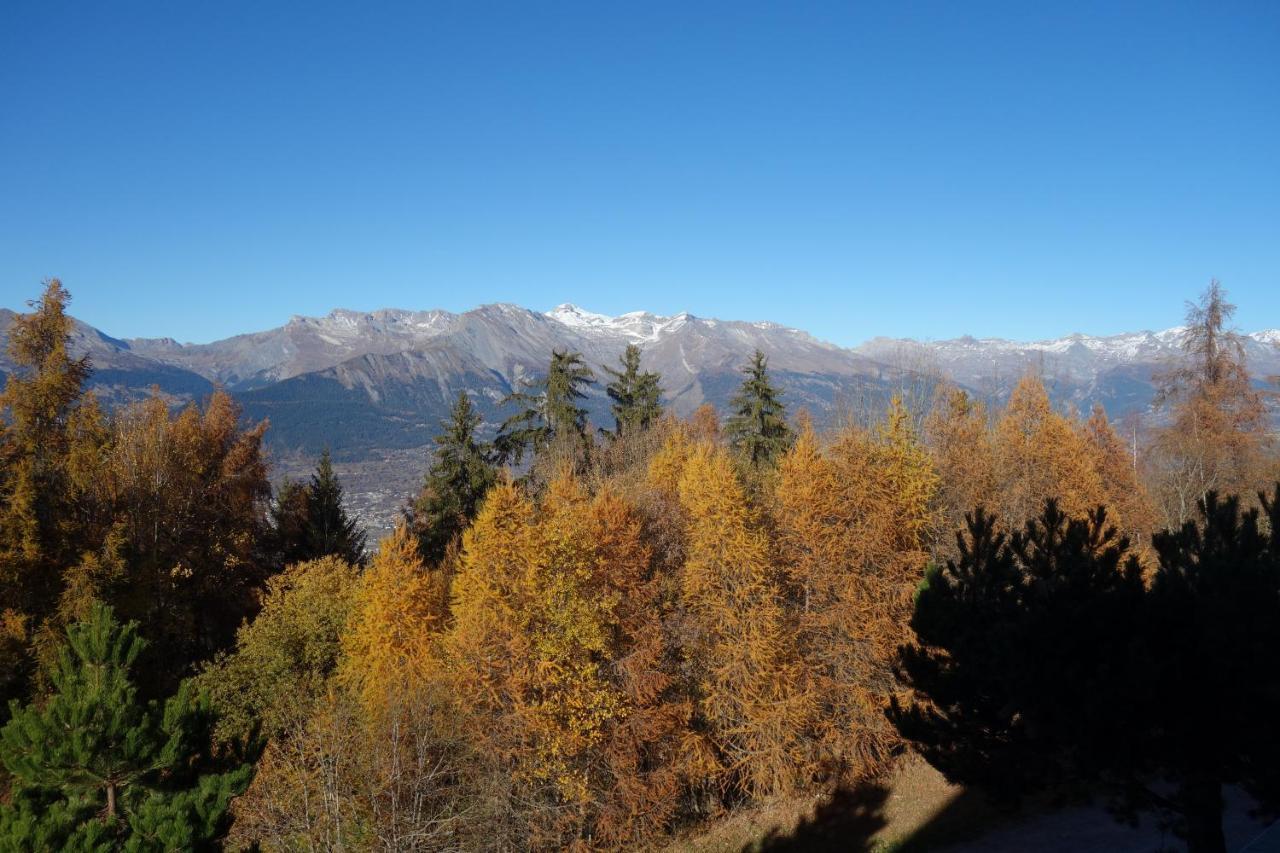 Mayens De L'Ours Mountain & Center Apartments By Alpvision Residences Agettes Экстерьер фото