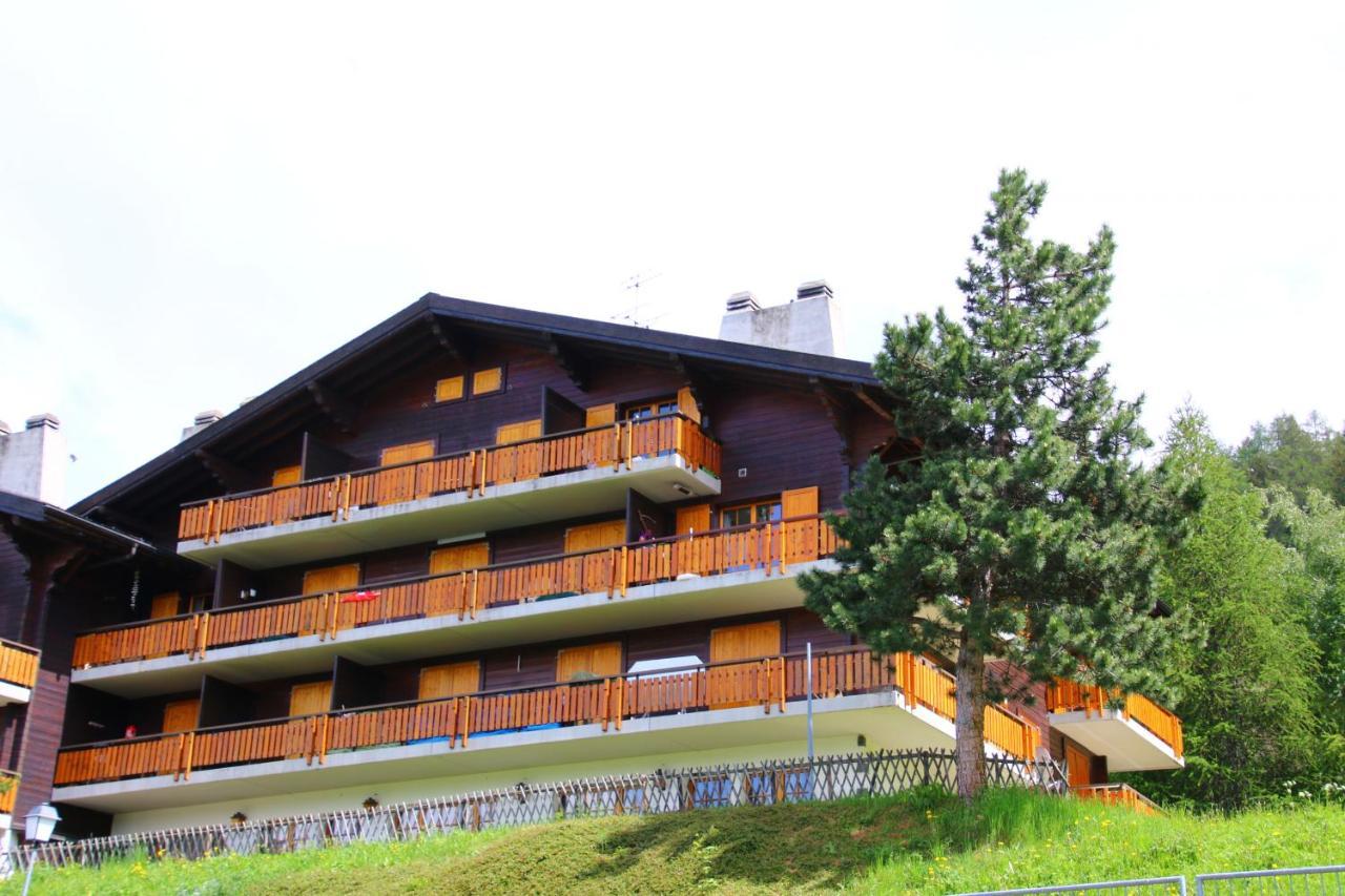 Mayens De L'Ours Mountain & Center Apartments By Alpvision Residences Agettes Экстерьер фото