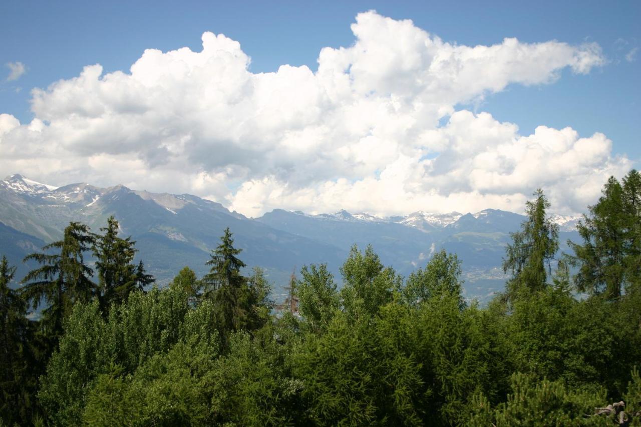 Mayens De L'Ours Mountain & Center Apartments By Alpvision Residences Agettes Экстерьер фото
